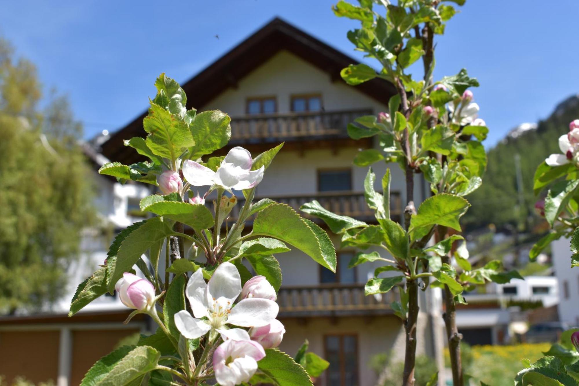 Hirschstube Nauders Bed & Breakfast Exterior photo